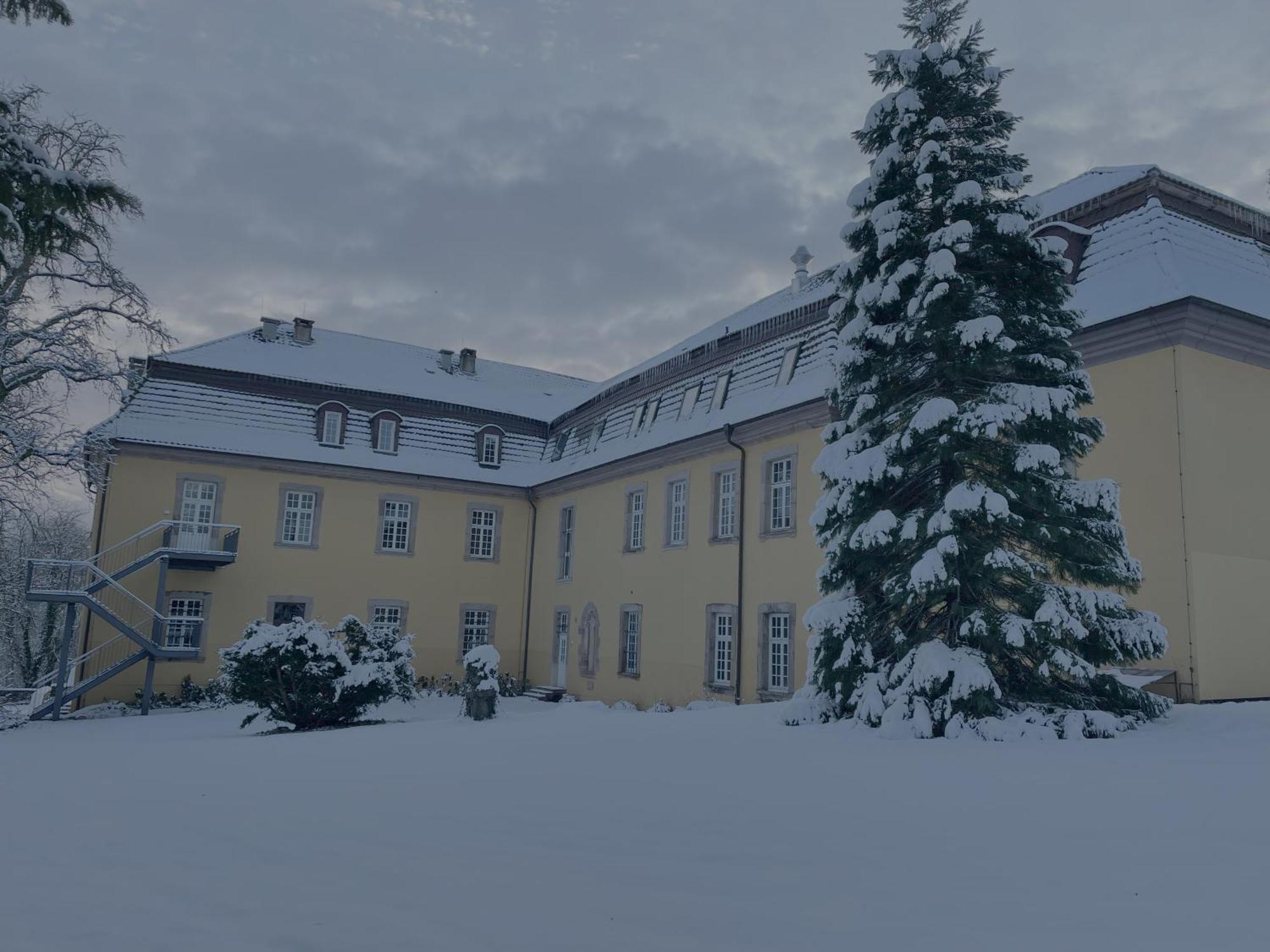 Hotel Schloss Hoehnscheid Bad Arolsen Exteriör bild